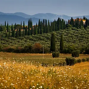  Country house Tenuta Di Poggio Cavallo Italy